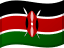 Swahili flag
